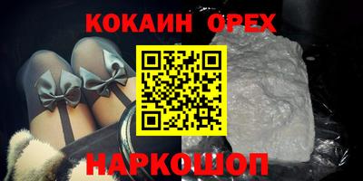 МДПВ Кингисепп