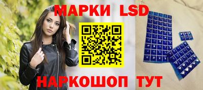 МДПВ Кингисепп