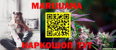 гашик Кимры