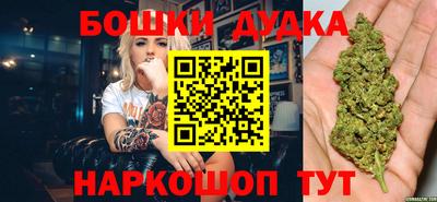 МДПВ Кингисепп
