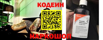 МДПВ Кингисепп
