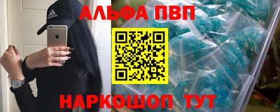 МДПВ Кингисепп