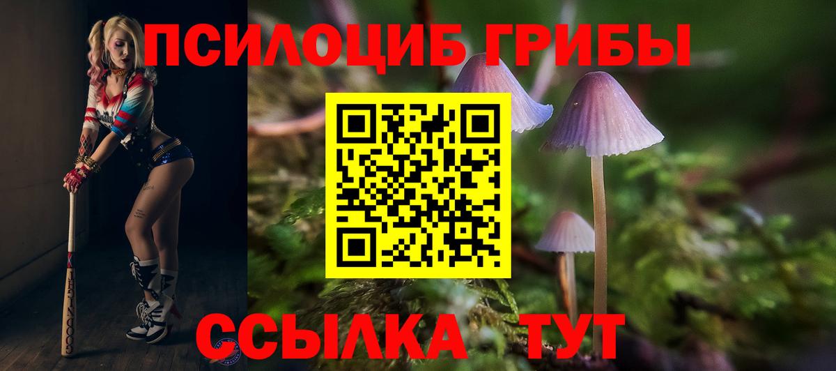 Заринск  Галлюциногенные грибы MAGIC MUSHROOMS  Вход с VPN  Галлюциногенные грибы Psilocybe 